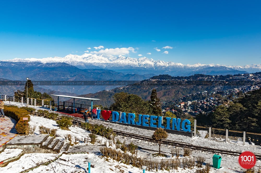 Darjeeling is the most tourist attraction places in india